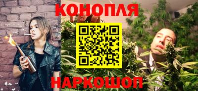 гашик Сланцы